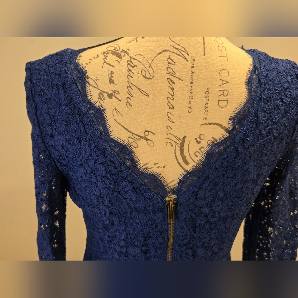 Adrianna Papell Royal Blue Lace Dress, Size 6. - Picture 7 of 16